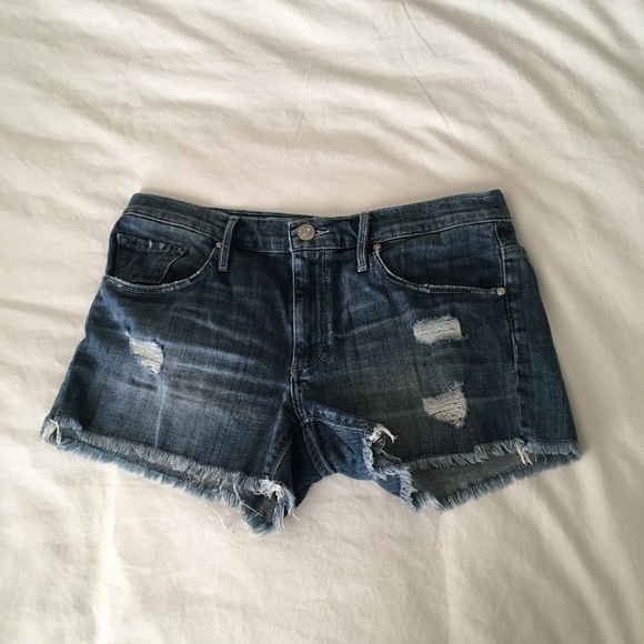 black orchid denim shorts